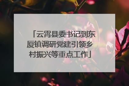 云霄县委书记到东厦镇调研党建引领乡村振兴等重点工作
